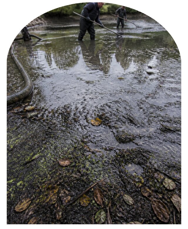 Очистка пруда в Мичуринске от ила мусора и водорослей с вывозом